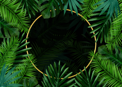 棕榈背景背景图片_棕榈植物叶子绿色平铺