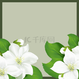 边框背景图片_灰绿色时尚植物花卉边框背景