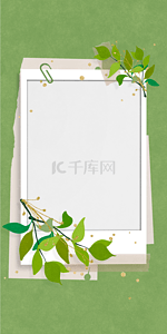 绿色回形针宝丽来相纸金箔植物手机壁纸背景
