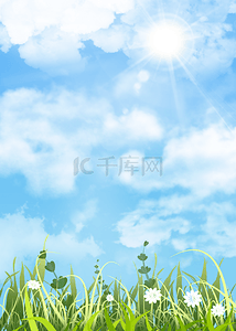 天光背景图片_春天光效绿色草地白花背景