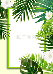 金色花朵背景背景图片_绿色简但植物棕榈花朵背景
