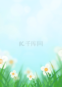 蓝色背景白色花朵背景图片_蓝色天空白色花朵花卉背景