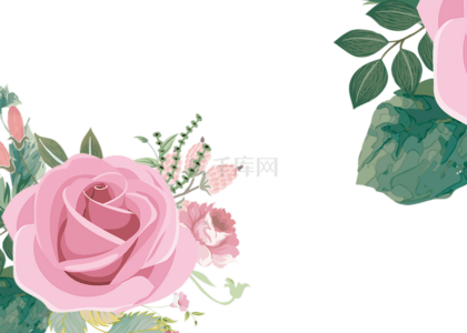 粉色花卉植物背景