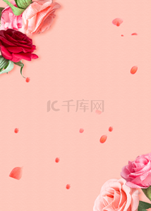 粉色浪漫玫瑰花瓣背景