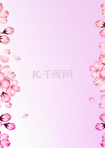 花卉樱花背景图片_紫色渐变浪漫花卉背景