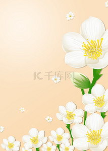 泰国母亲节花卉背景