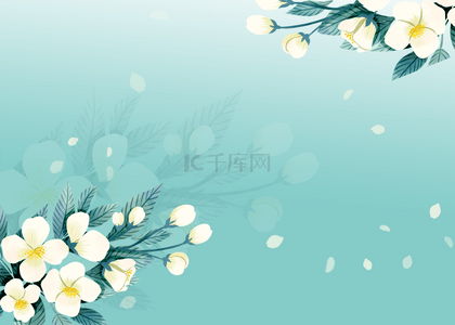 唯美花卉背景背景图片_泰国母亲节茉莉花唯美花卉背景