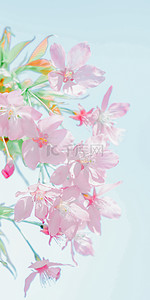 粉花背景图片_绿叶粉花可爱樱花手机壁纸