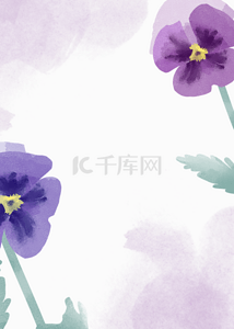 水彩画紫色浪漫花卉背景