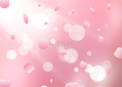粉色花瓣粉色背景抽象光影背景