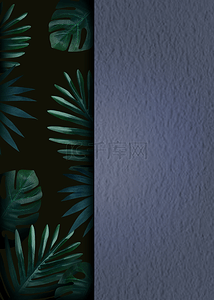 纹理高级叶子棕榈叶质感热带植物背景