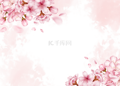 粉色樱花盛开背景