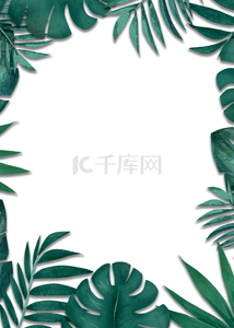浅色叶子背景图片_浅色创意绿色植物边框背景