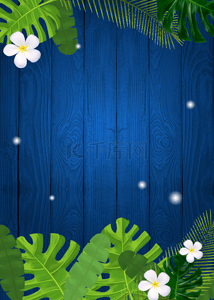 棕榈叶蓝色木纹背景