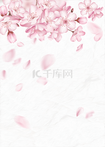 粉色精致花卉背景