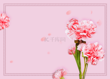 粉色浪漫花卉背景图片_粉色浪漫花卉线框背景