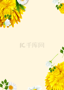 花卉黄色干净背景