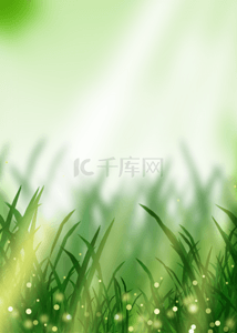 天光背景图片_梦幻的绿色春天光效花卉背景