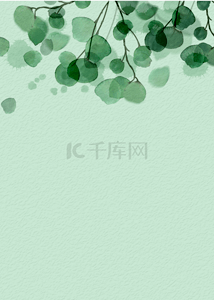 简约绿色桉树叶壁纸