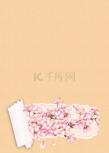 桃花粉色背景背景图片_撕纸粉色桃花花卉背景