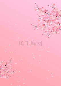 花卉樱花背景图片_飘落樱花粉色花枝花卉背景
