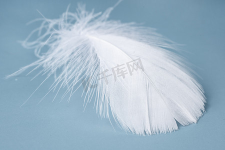 质感白色质感摄影照片_一根DIY白色羽毛手工材料摄影图配图