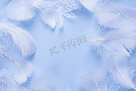 平铺蓝色背景纸柔软的白色羽毛摄影图配图