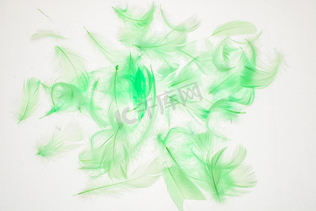 纹理质感白天绿色羽毛艺术室外静物摆拍摄影图配图