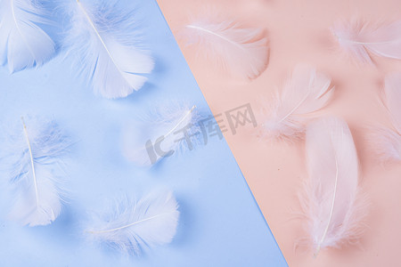 彩色背景蓝粉色飘散白色羽毛摄影图配图