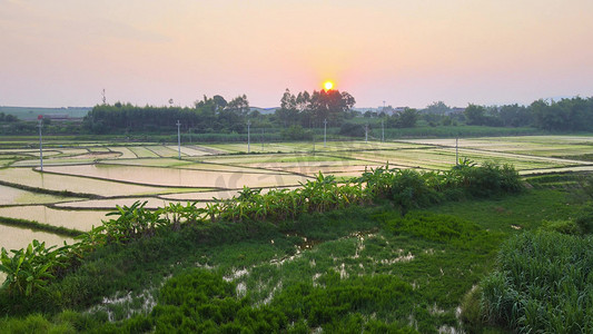 田水稻田园风光航拍