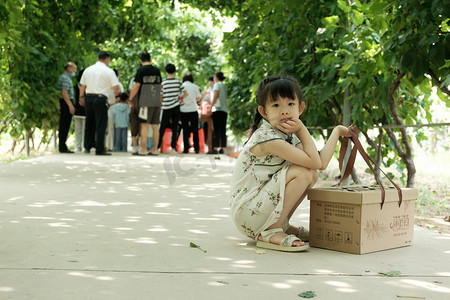 户外夏季葡萄采摘园游玩的小女孩摄影图配图