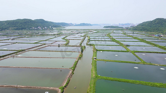 风景摄影照片_渔业大闸蟹龙虾淡水鱼养殖基地航拍