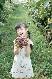 水果女孩摄影照片_夏季葡萄园手拿葡萄的可爱小女孩人像摄影图配图