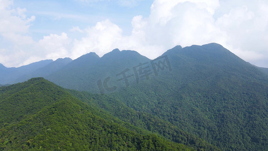 广西十万大山大自然森林树林祖国山川风光