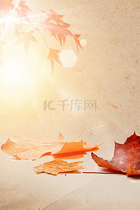 秋天枫叶光效黄色清新文艺