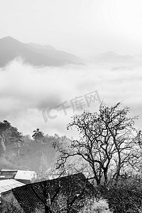 水墨摄影照片_水墨风中午树木山区流动摄影图配图