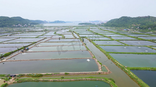 龙虾店底纹摄影照片_渔业大闸蟹龙虾淡水鱼养殖水产养殖