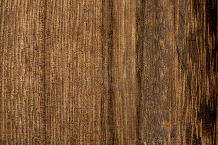 棕色木纹摄影照片_木纹纹路木头树木棕色摄影图配图