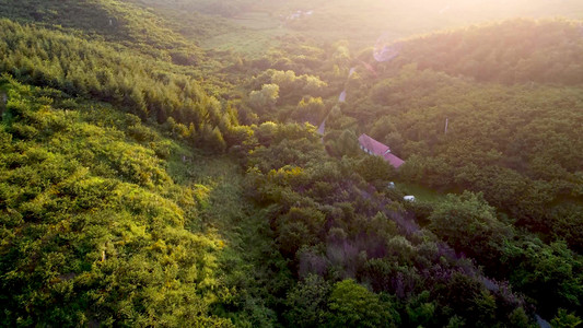 阳光光晕下的森林小山村