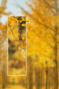 黄色秋分背景背景图片_秋天树林银杏林黄色背景