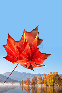 秋天水面枫叶背景海报