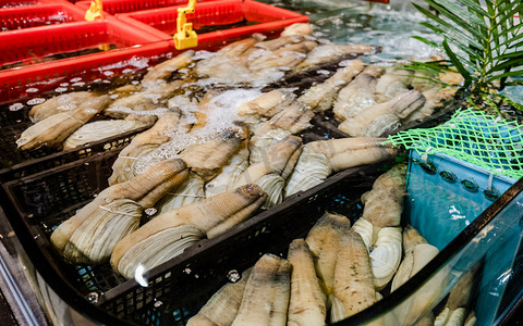 海鲜市场摄影照片_海产海鲜市场象拔蚌食材摄影图配图