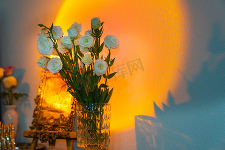 情人节玫瑰花束下午一束玫瑰花室内摄影摄影图配图