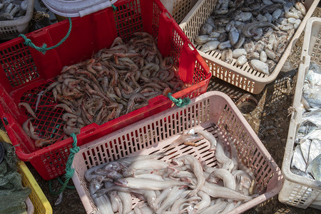 海鲜交易中午海鲜海鲜市场无摄影图配图