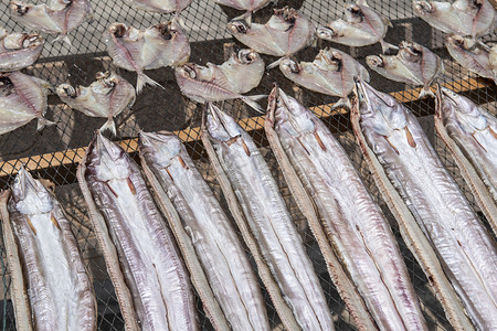 咸鱼干摄影照片_晾晒的海鳗下午海鳗农村无摄影图配图