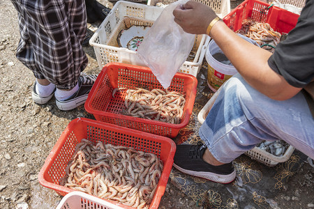 海鲜鱼肉摄影照片_海鲜交易下午海鲜码头无摄影图配图