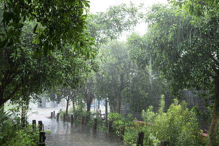 备战台风摄影照片_公园雨水下午雨水公园无摄影图配图