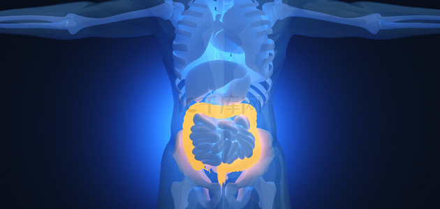 九转大肠背景图片_c4d人体器官人体器官