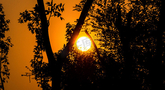秋天自然风光夕阳太阳光照户外阳光剪影摄影图配图