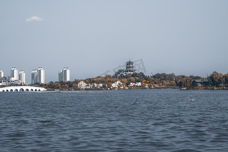 山东清风湖远处的塔楼景点摄影图配图